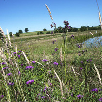 Pisciculture Piscivair - Bertrix - Nos Installations